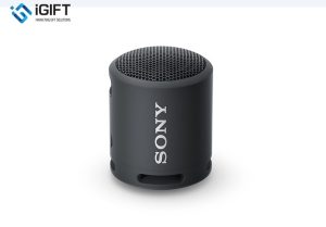Loa Không Dây Di Động SRS-XB13 Với EXTRA BASS