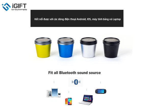 Loa Bluetooth Mini C6 – In Logo Thương Hiệu