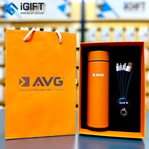 iGIFT Việt Nam tự hào là một trong những công ty quà tặng giá rẻ Avg-300x300